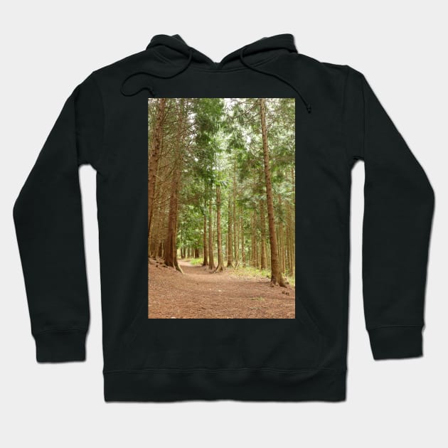 Green Pine Trees Hoodie by pinkal